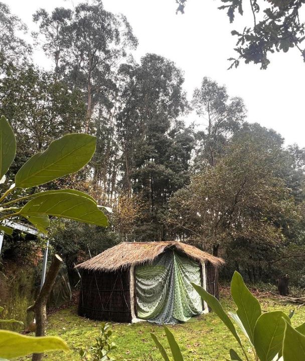 Photo of Outdoor in Portela Susa