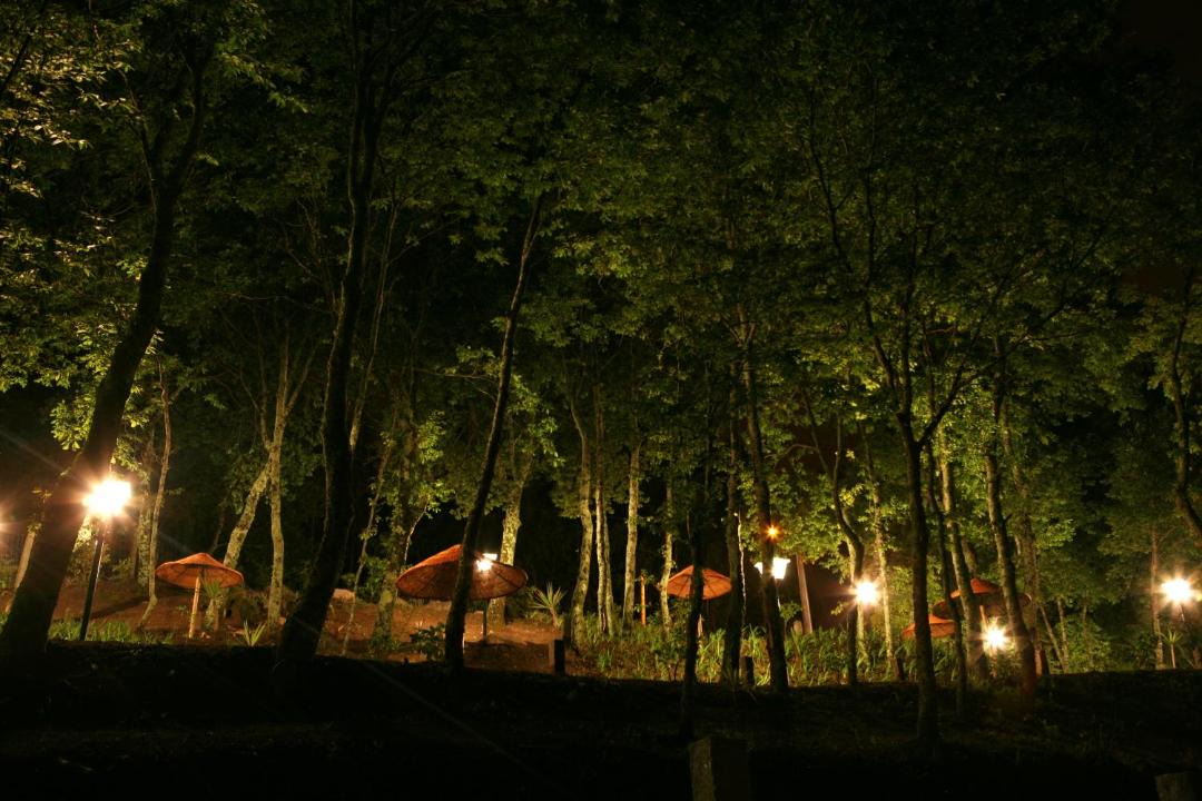Photo of Outdoor in Felgueiras
