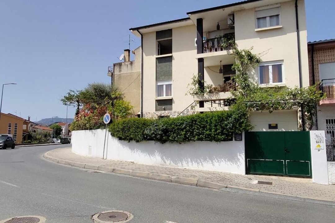 Photo of Others in Mirandela
