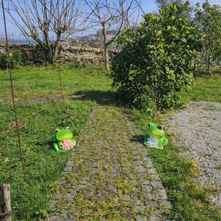 Photo of Outdoor in Marco de Canaveses