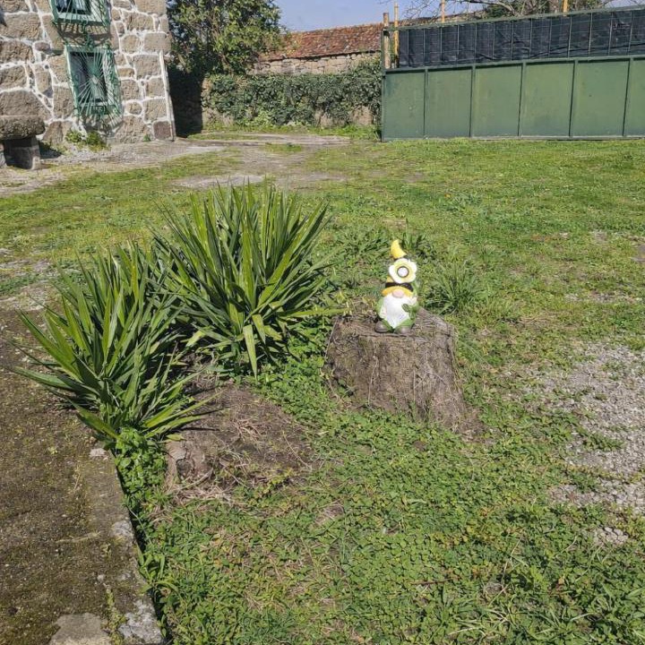 Photo of Others in Marco de Canaveses