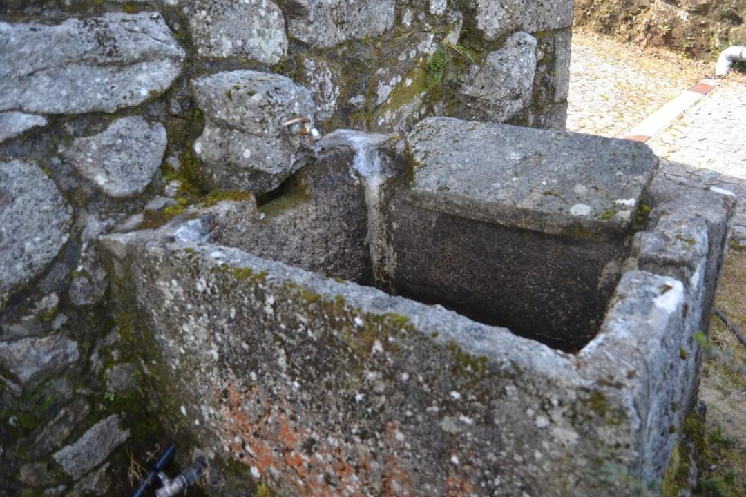 Photo of Others in Caminha
