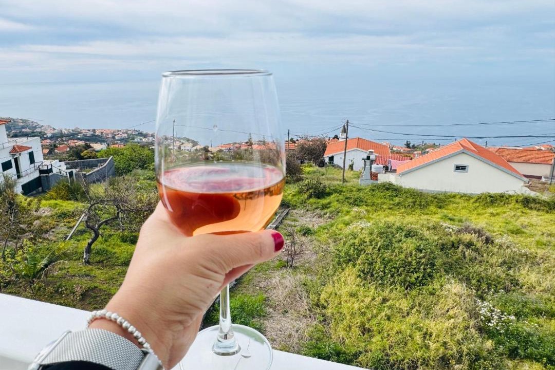 Photo of Others in Estreito da Calheta
