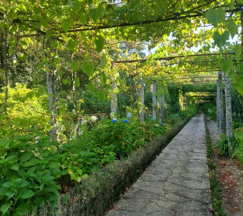 Photo of Others in Arcos de Valdevez
