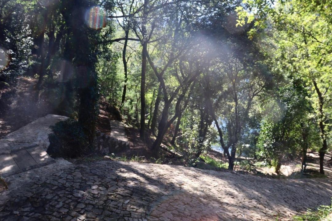 Photo of Others in Vieira do Minho
