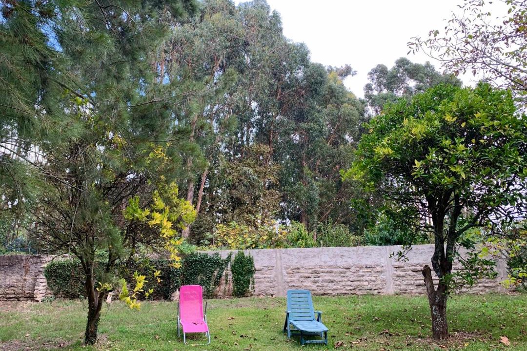 Photo of Others in Cacia