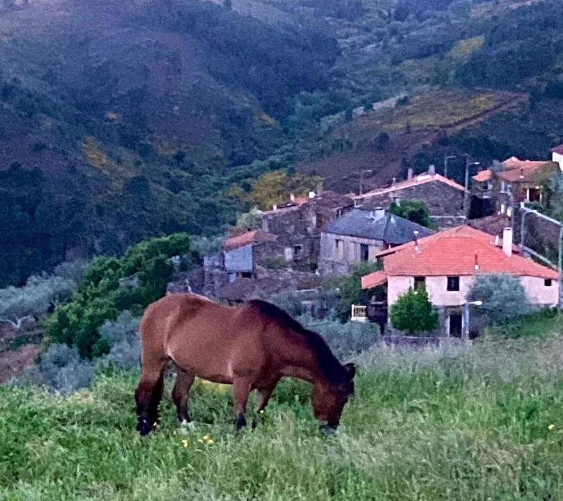Photo of Others in Vinhais