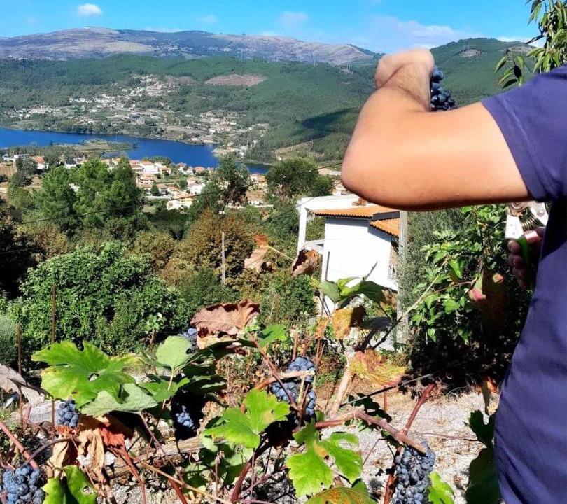 Photo of Others in Ribeira de Pena
