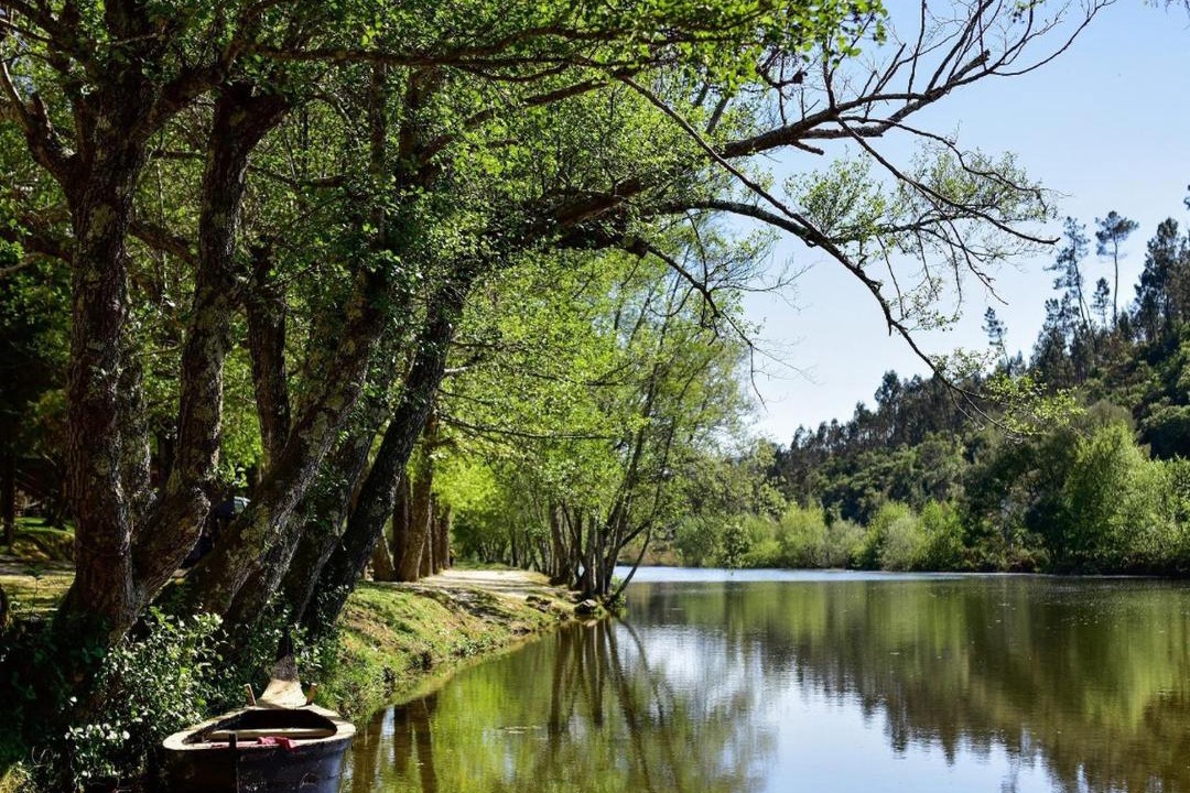 Photo of Others in Penacova