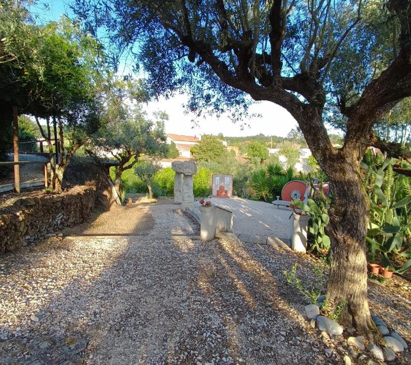 Photo of Others in Arega