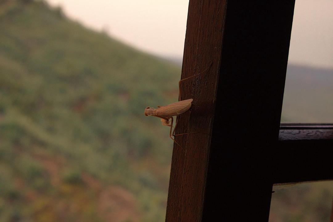 Photo of Others in Lousa