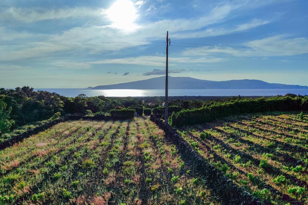 Photo of Others in Madalena