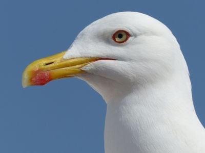 Photo of Others in Nazare