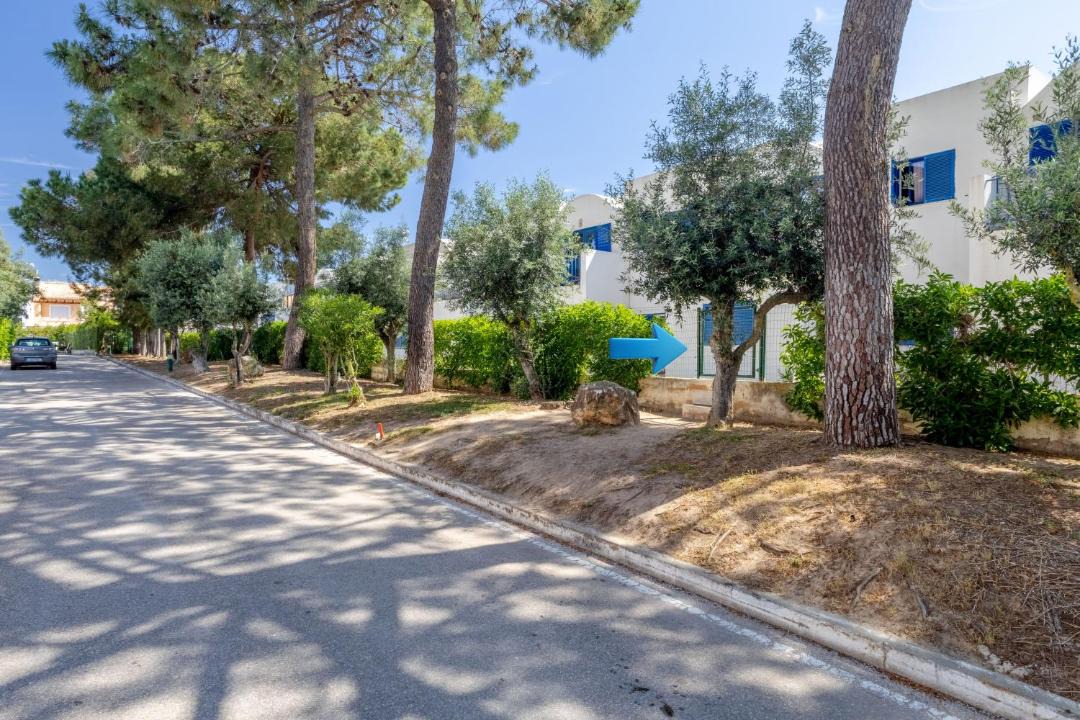 Photo of Others in Montes de Alvor