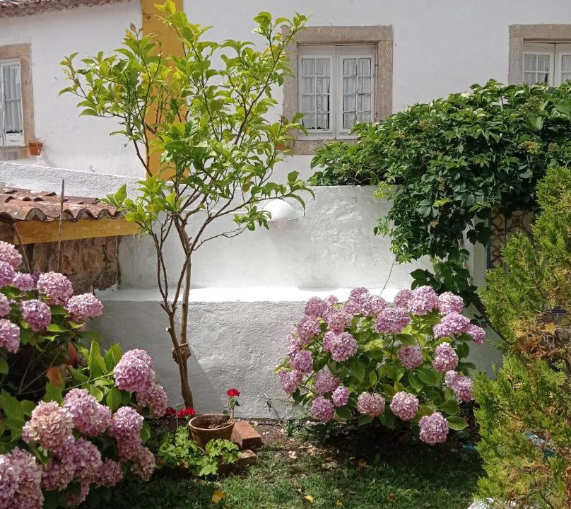Photo of Others in Obidos