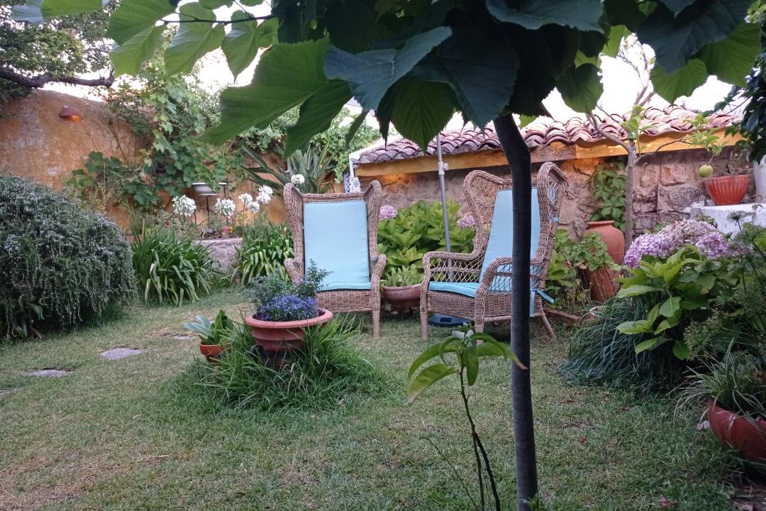 Photo of Others in Obidos