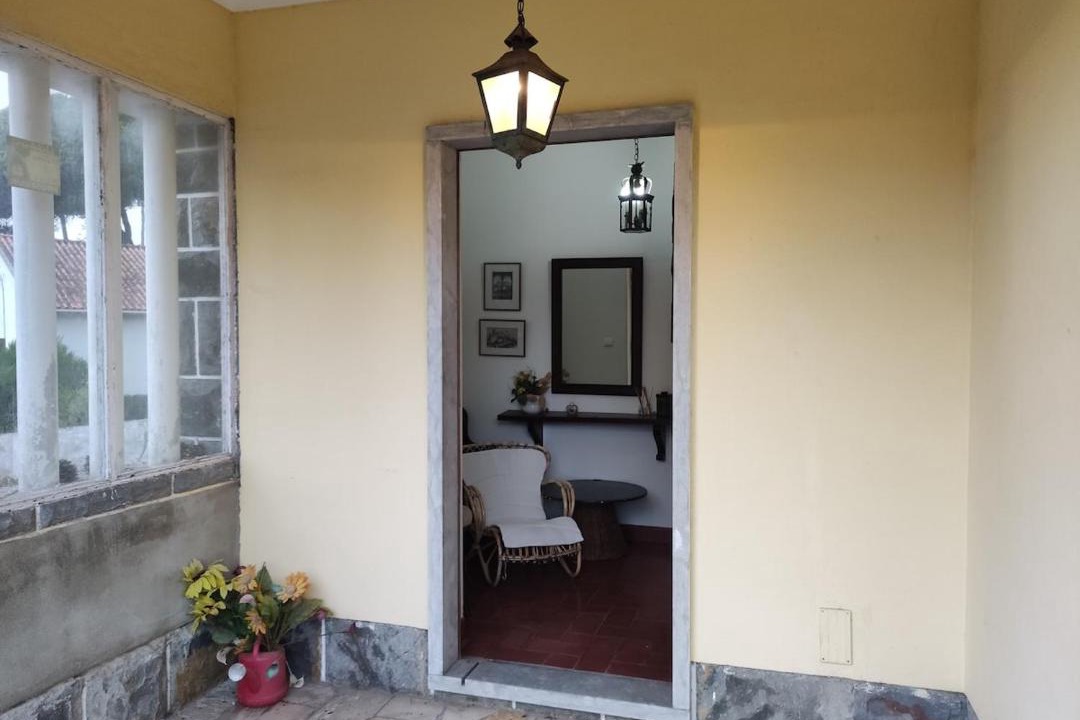 Photo of Others in Banzao