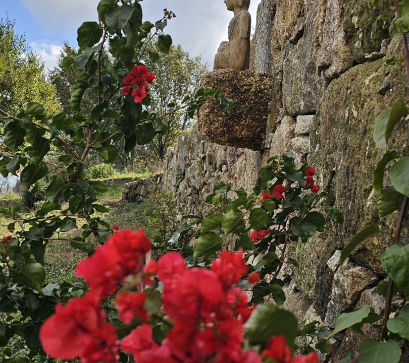 Photo of Others in Penafiel