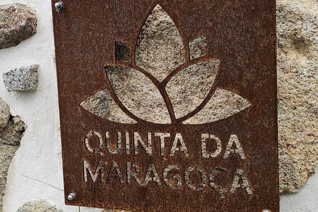 Photo of Outdoor in Penafiel