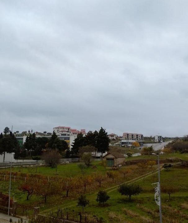 Photo of Others in Vila Flor