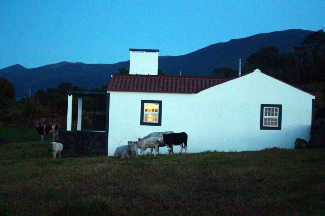 Photo of Others in Sao Roque do Pico