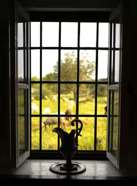 Photo of Others in Evora