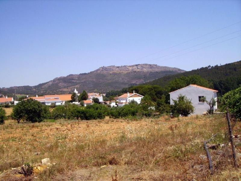Photo of Others in Sao Salvador da Aramenha