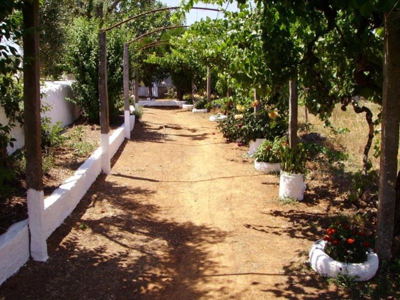Photo of Others in Sao Salvador da Aramenha