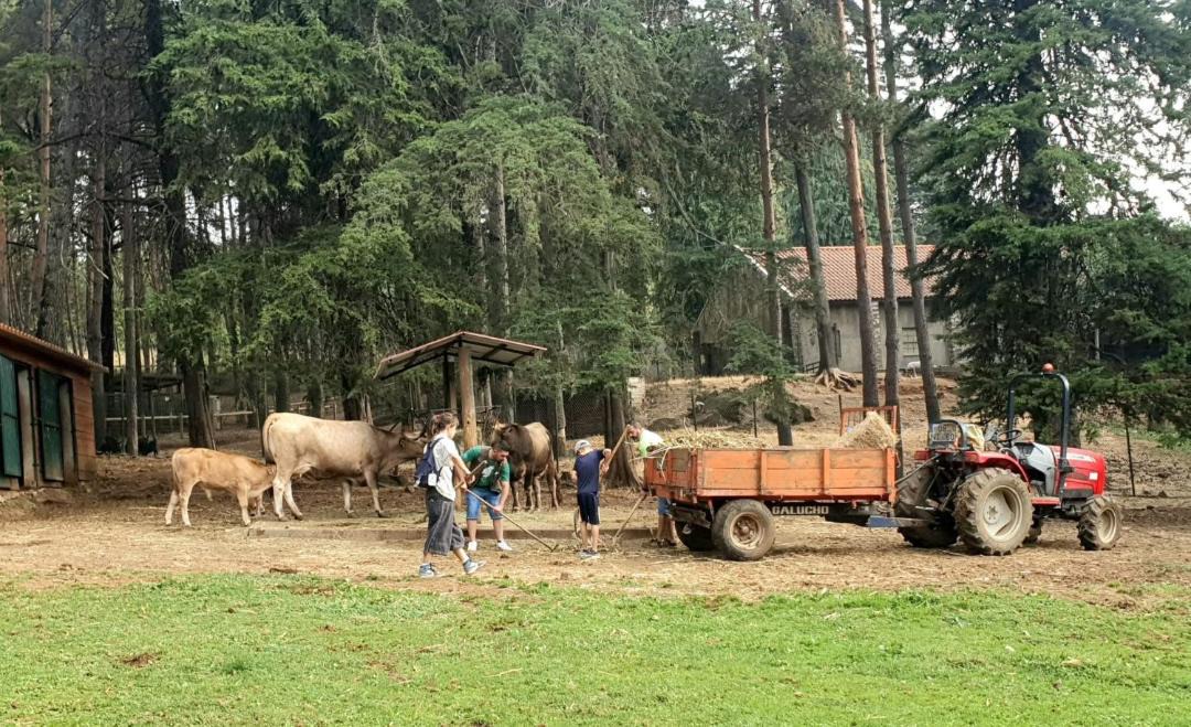 Photo of Others in Vinhais