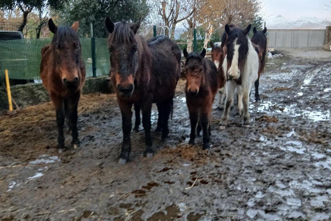 Photo of Others in Montalegre