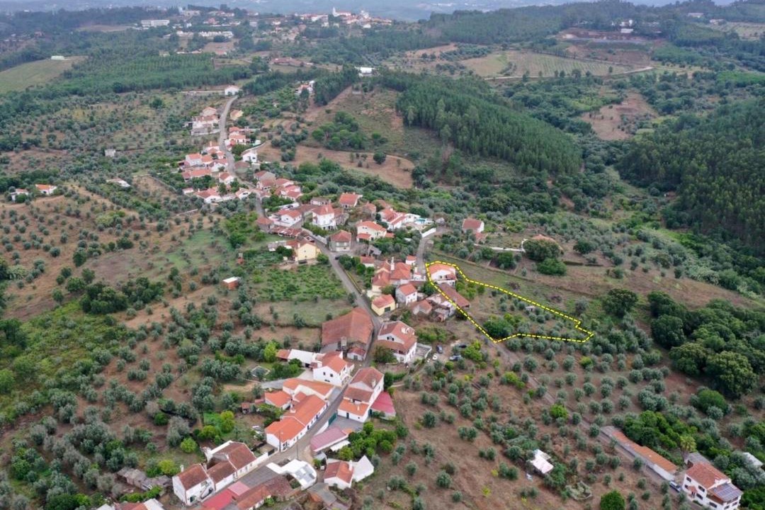 Photo of Others in Tomar