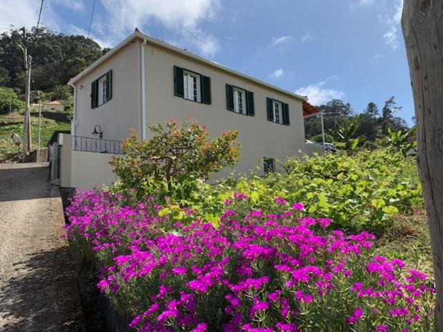 Photo of Others in Porto da Cruz