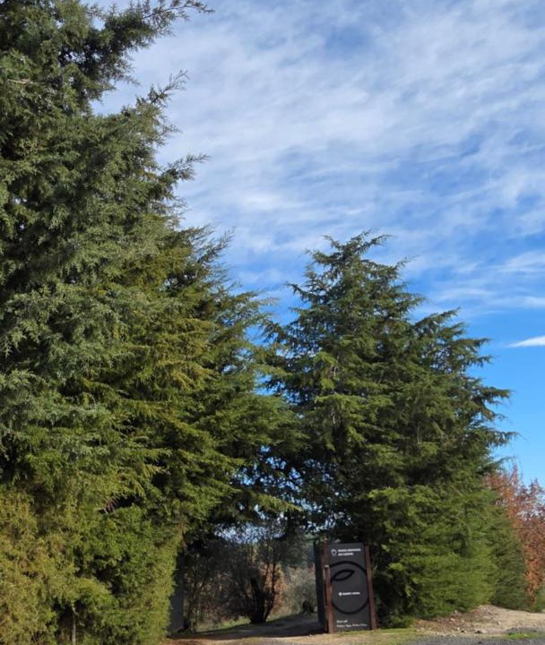 Photo of Outdoor in Covilha