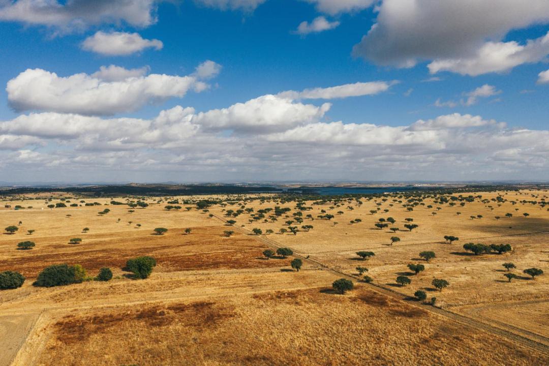Photo of Others in Reguengos de Monsaraz