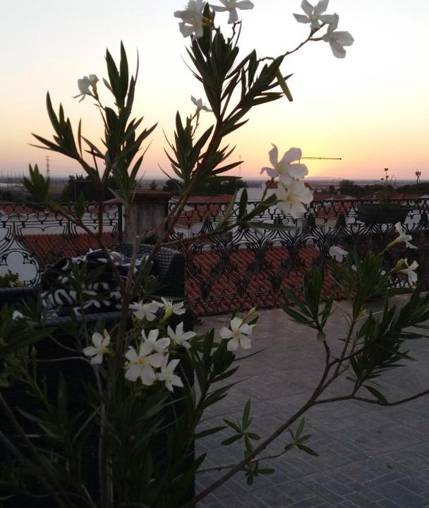 Photo of Others in Ferreira do Alentejo