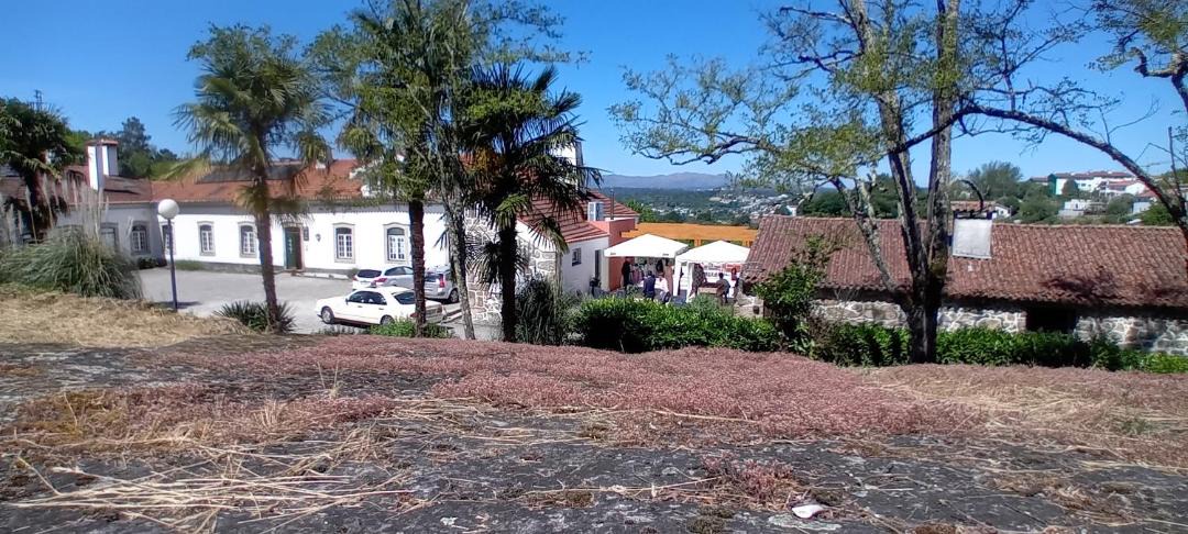 Photo of Others in Viseu