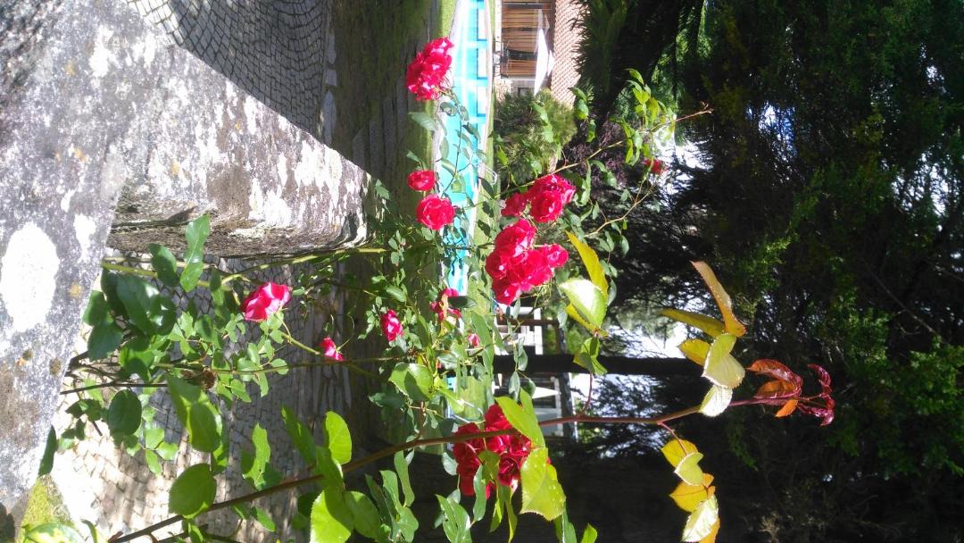 Photo of Others in Santa Maria da Feira