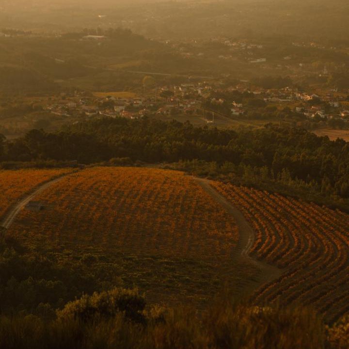 Photo of Others in Moncao