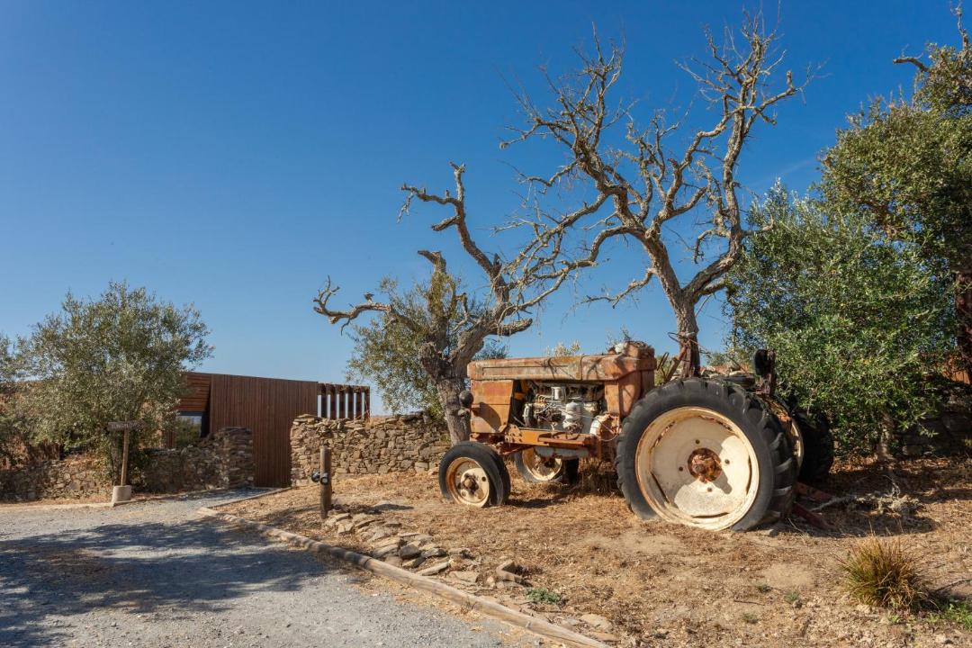 Photo of Others in Almodovar e Graca dos Padroes