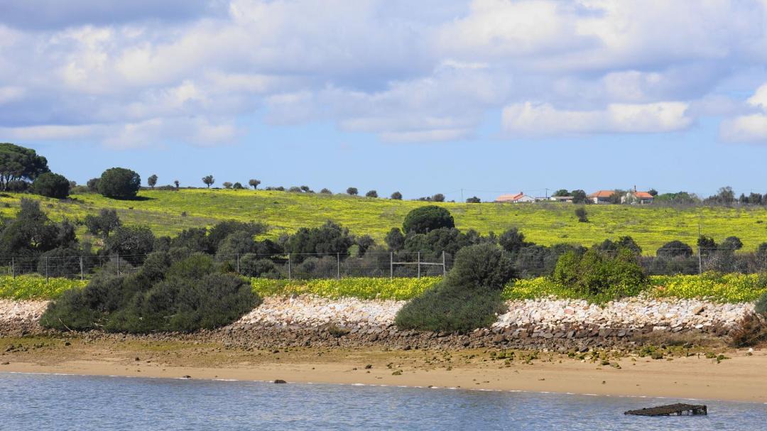 Photo of Others in Alvor