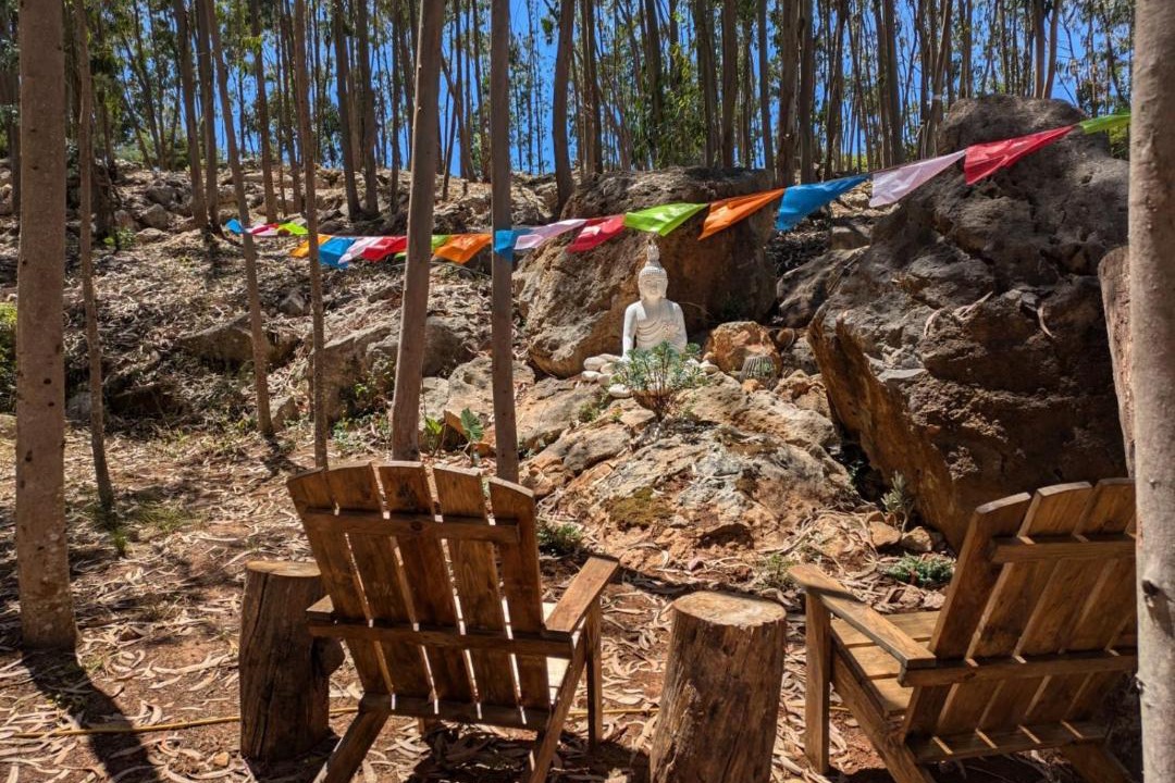 Photo of Others in Atalaia