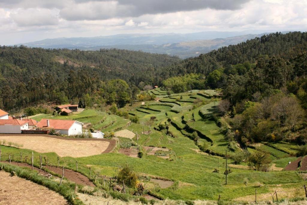 Photo of Others in Vale de Cambra