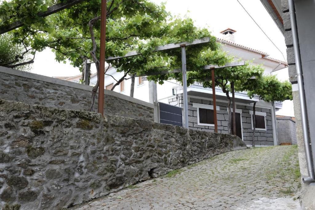 Photo of Others in Vale de Cambra