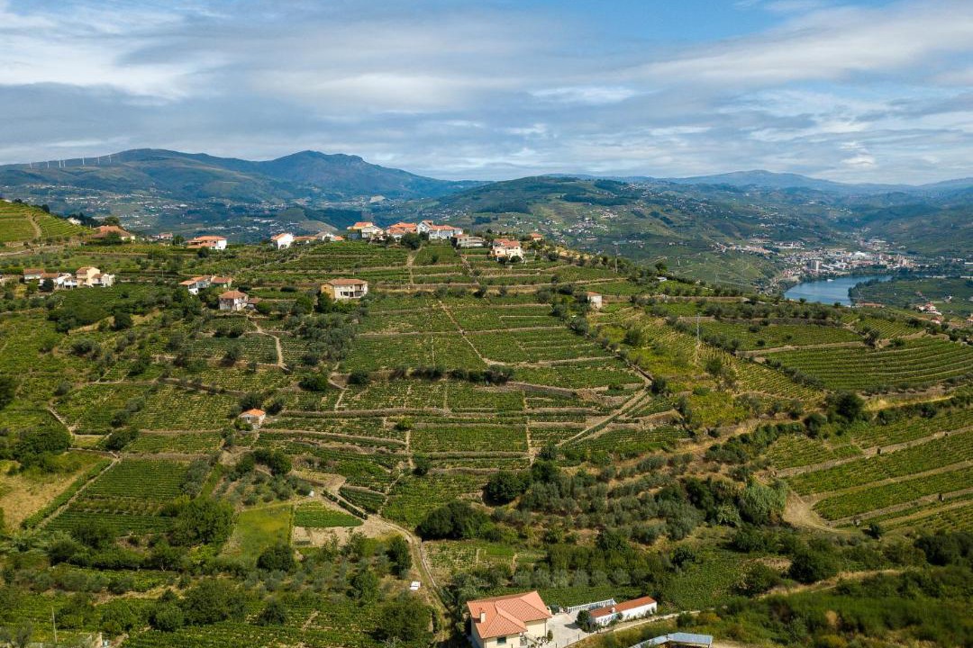 Photo of Others in Lamego
