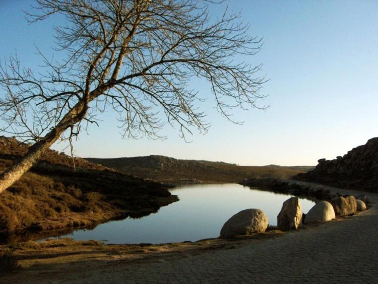 Photo of Others in Arouca