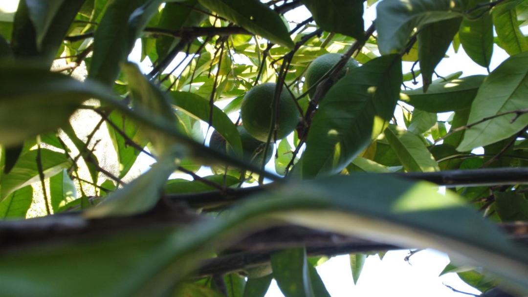Photo of Others in Santa Marta de Penaguiao