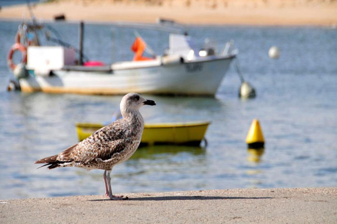 Photo of Others in Vale do Garrao