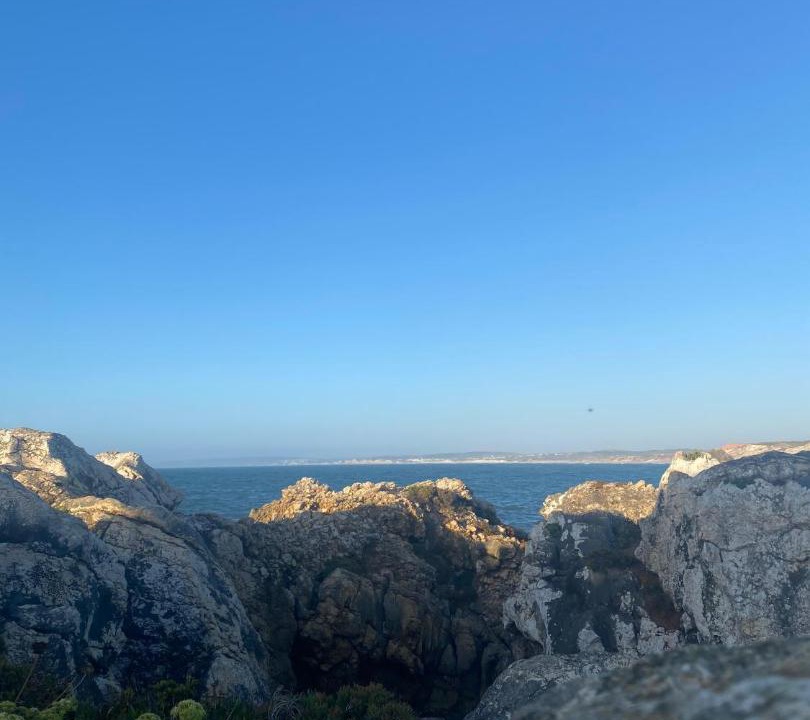 Photo of Others in Baleal