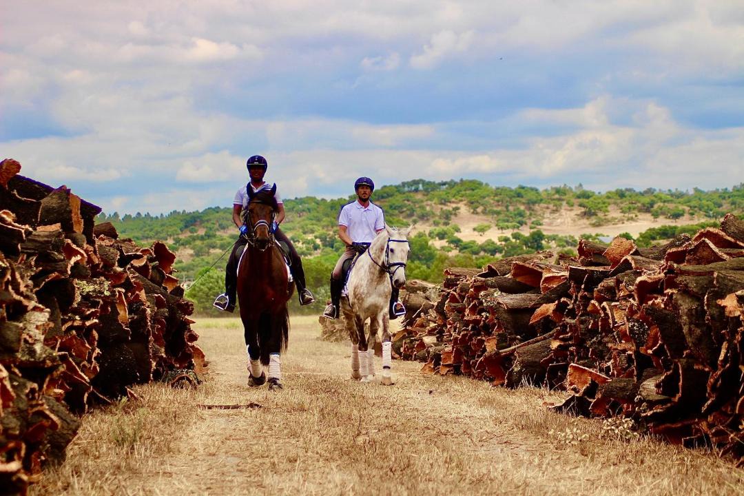 Photo of Others in Almeirim