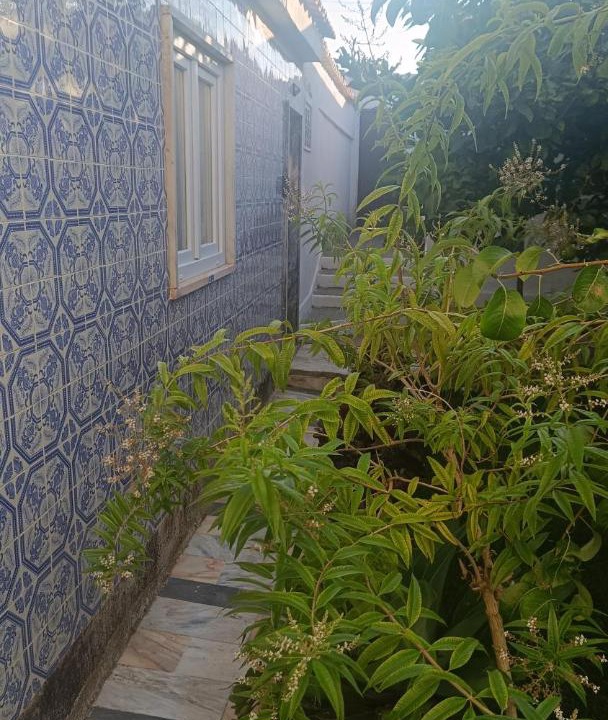 Photo of Others in Carvoeira